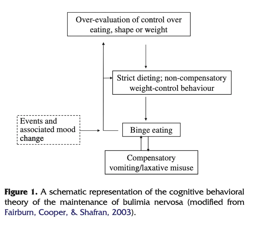 yeme bozukluğu ergenlerde tedavi, bulimia nervoza tedavi, anoreksiya nervoza tedavi, yeme bozukluğu psikiyatrist, adsolesanlarda yeme bozukluğu, yeme bozuklukları terapisi, 